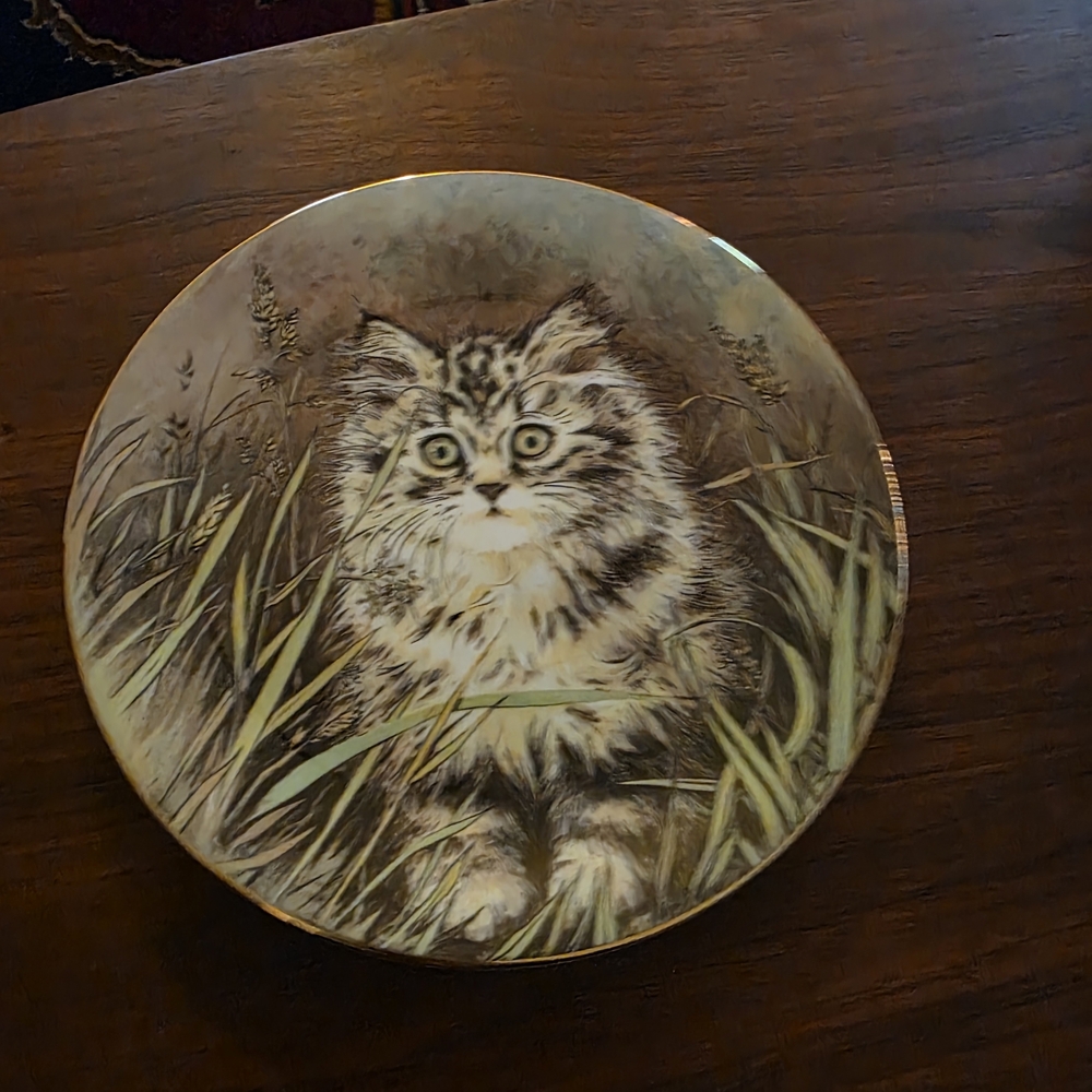 Royal Worcester Cat Design Plate with Gold Rim